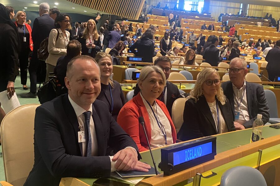 Hópmynd af íslenskum fulltrúum á COSP16.