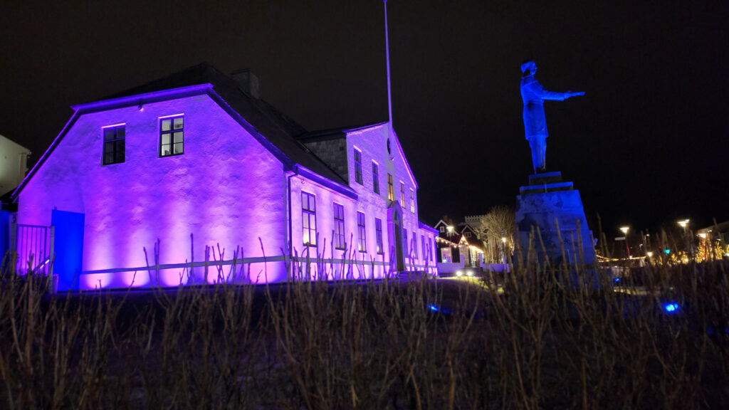 Fjólublár 3. desember