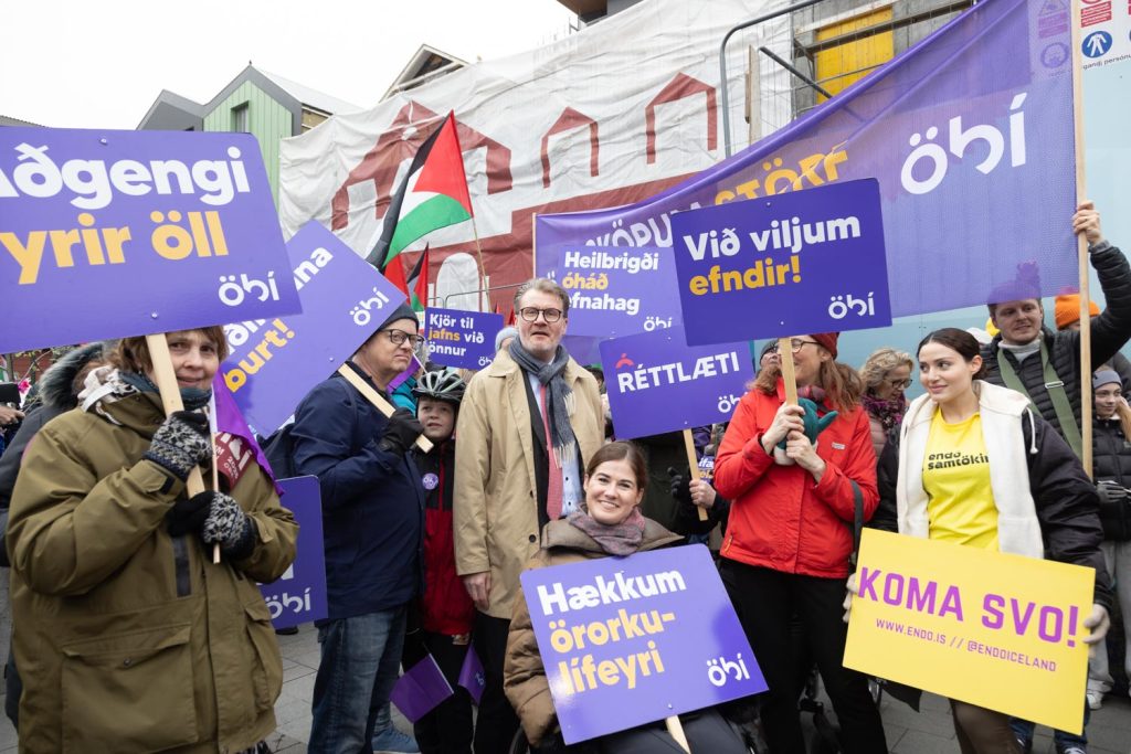 Á myndinni eru margir þátttakendur í réttindagöngu ÖBÍ. Flest eru með fjólublá skilti með ÖBÍ merkinu. Á skiltunum eru áletranir eins og „Aðgengi fyrir öll“, „Réttlæti“, „Við viljum efndir!“, „Hækkum örorkulífeyri“ og „Heilbrigði óháð efnahag“. Stemningin virðist kraftmikil.