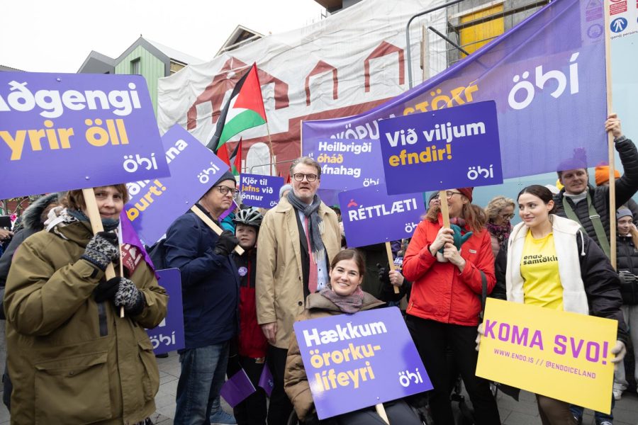 Á myndinni eru margir þátttakendur í réttindagöngu ÖBÍ. Flest eru með fjólublá skilti með ÖBÍ merkinu. Á skiltunum eru áletranir eins og „Aðgengi fyrir öll“, „Réttlæti“, „Við viljum efndir!“, „Hækkum örorkulífeyri“ og „Heilbrigði óháð efnahag“. Stemningin virðist kraftmikil.