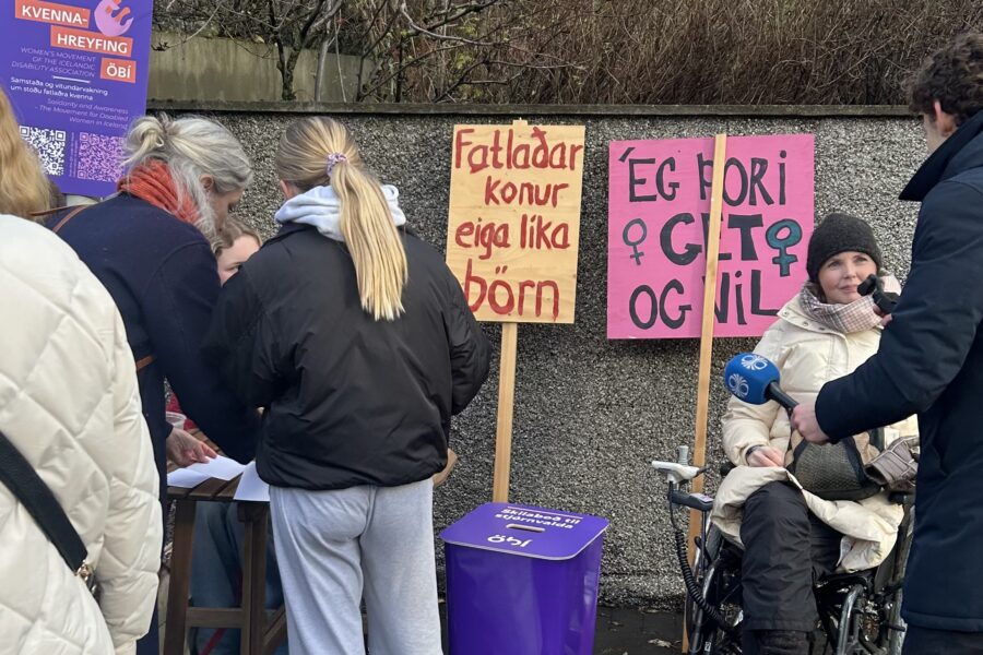 „Úti stendur hópur kvenna við steyptan vegg. Þær standa við lítið borð þar sem verið er að skrifa undir eða skrá fólk. Bakvið hópinn er skilti frá kvennahreyfingu ÖBÍ Við vegginn standa tvö mótmælaskilti. Á fyrra skiltinu stendur: „Fatlaðar konur eiga líka börn.“ Hitt skiltið er bleikt og á því stendur: „Ég þori get og vil“ og þar er líka kvennatákn. Fyrir framan skiltin situr Steinunn Þóra Árnadóttir í hjólastól, hlýlega klædd með húfu og trefil. Hún er að tala við fréttamann RÚV sem stendur fyrir framan hana með upptökutæki. Nokkrar konur standa til hlliðar þar má meðal Rósa María Hjörvar.