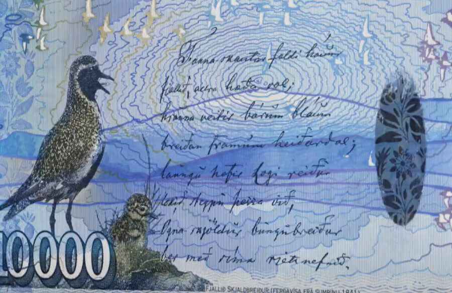 Bakhlið tíu þúsund króna seðils. Lóa og lóu-ungi.